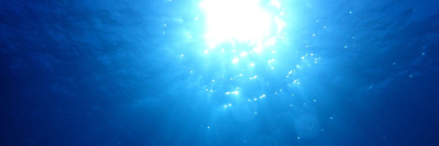 ぴぃ🌟🏝🐬🐳🤿 banner