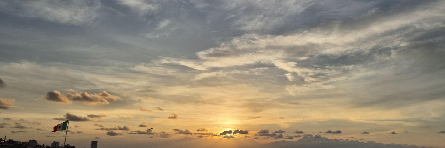 Sue_mente's profile banner image