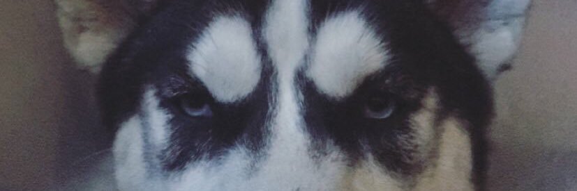 QMAINEY's profile banner image