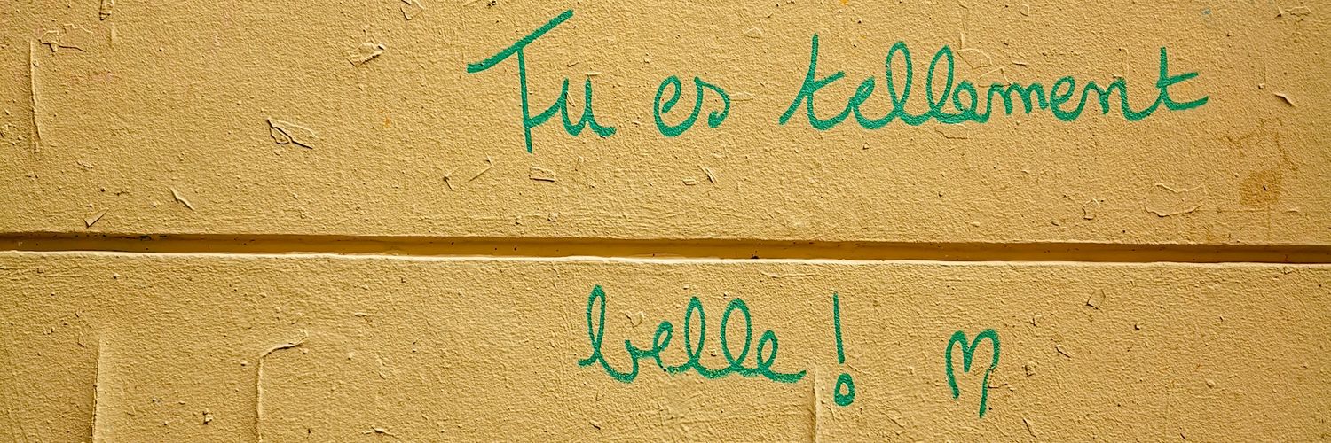 Ariana Carnielli banner