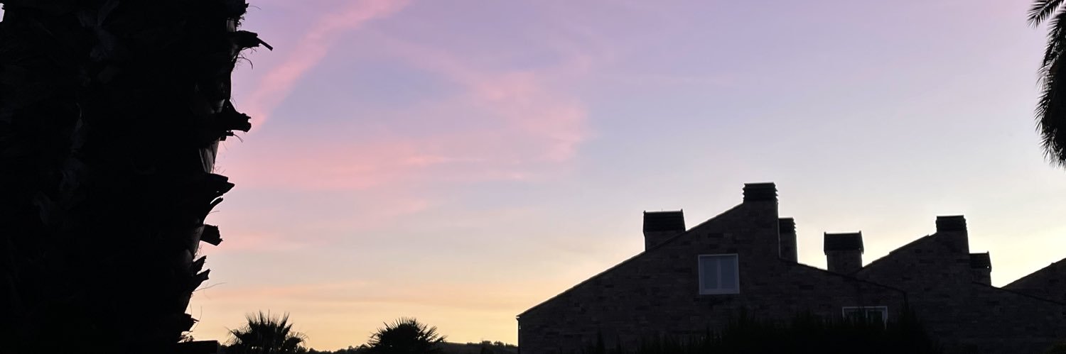 missfertune's profile banner image