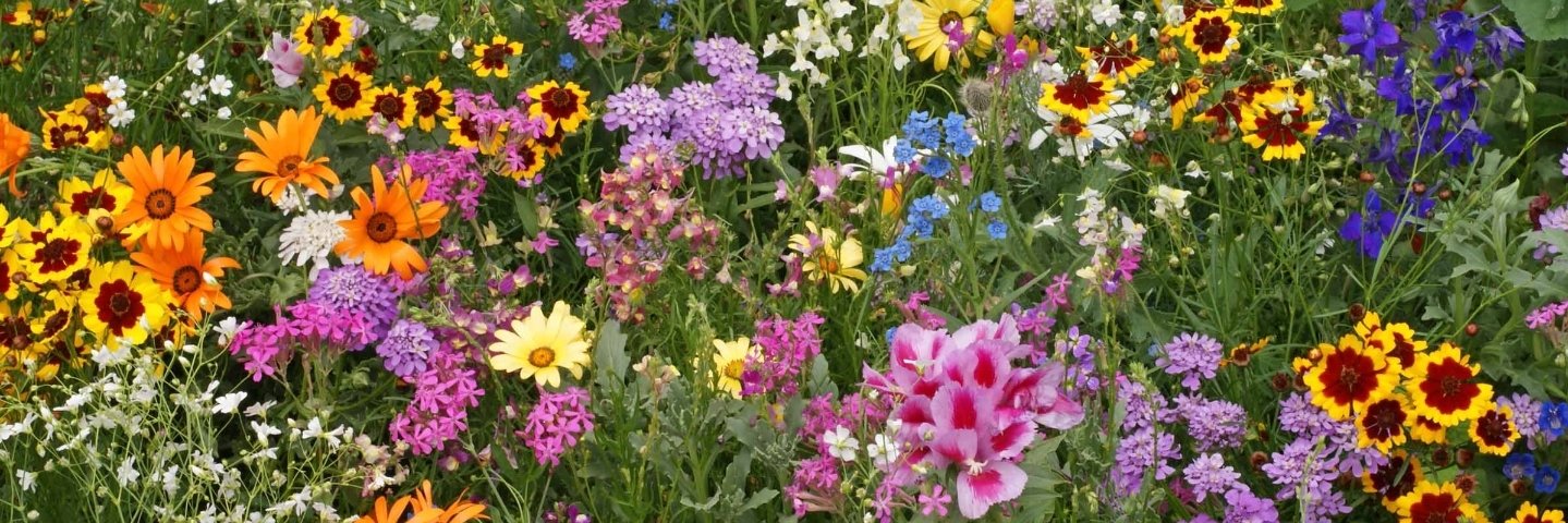 so_not_a_bot's profile banner image
