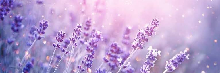 natumi_aaaa's profile banner image