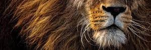 3Akweee's profile banner image
