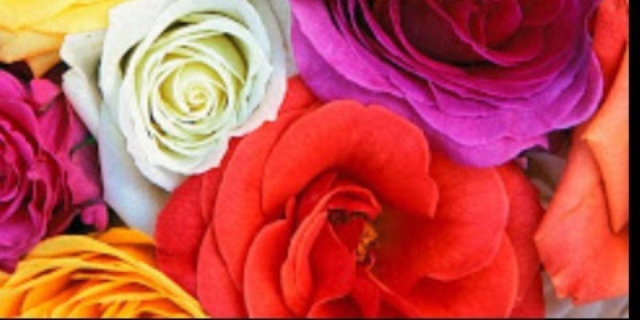 SummerSoucek's profile banner image