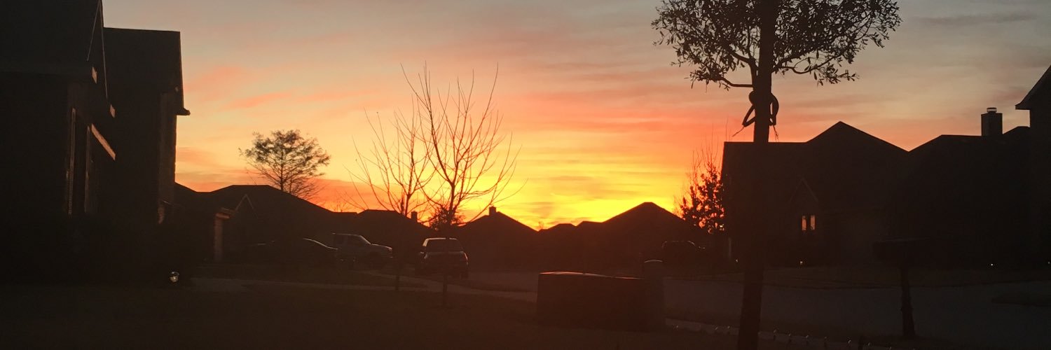 MatisonBrown_'s profile banner image
