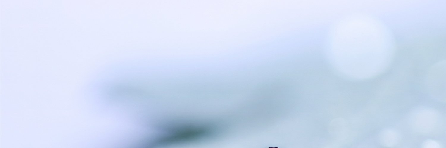 GlassmeyerMahm1's profile banner image