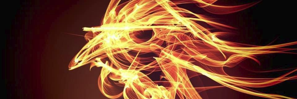 phoenixtoronto's profile banner image