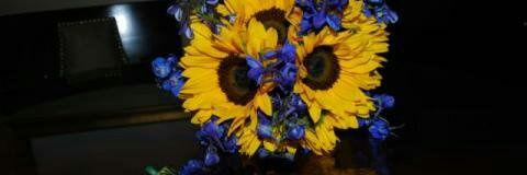 shari_abney's profile banner image