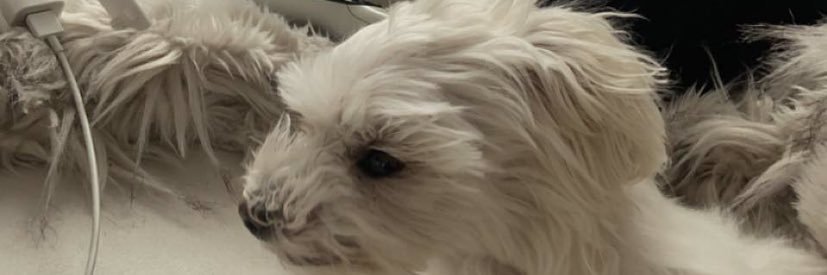 h_rav's profile banner image