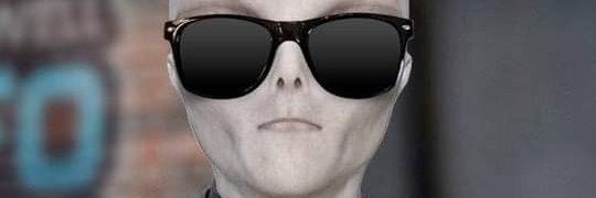 Steven West banner