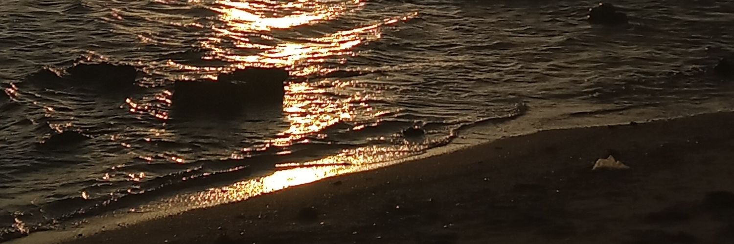 thsryll's profile banner image