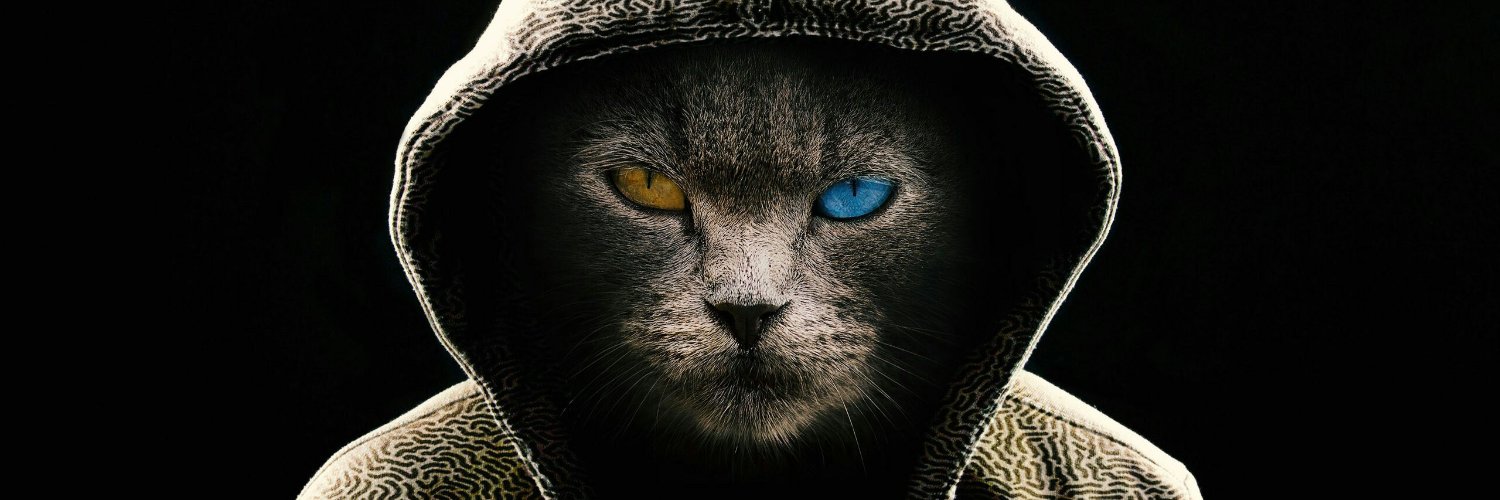 _LucasOM_'s profile banner image
