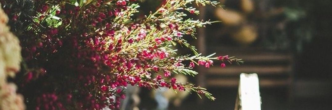 gfvnbbb's profile banner image