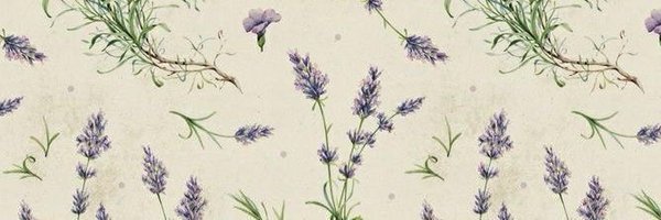 vanevswift Profile Banner