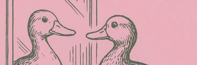 🪿🦤🐦‍⬛にわにわ団 🐓🦆🪿 banner