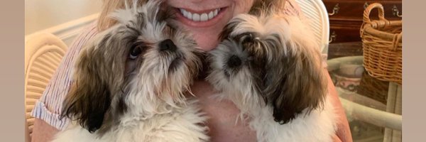 dazzee Profile Banner