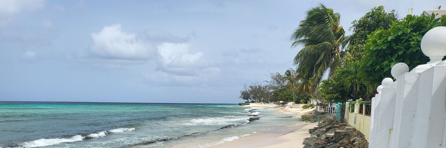 Anthony Octave banner