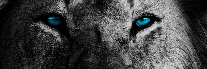 BugraSir's profile banner image