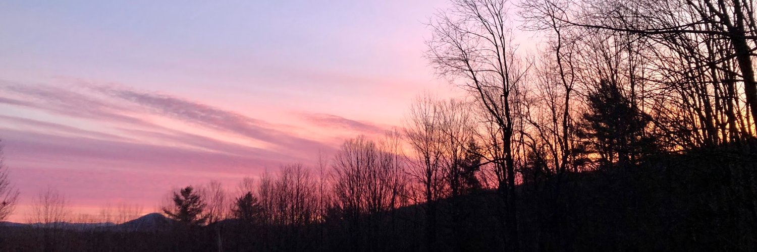 willfortin's profile banner image