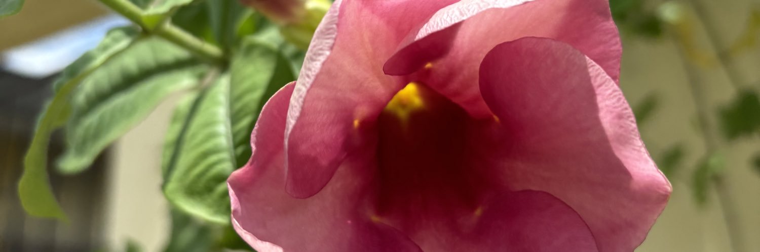sacy96's profile banner image