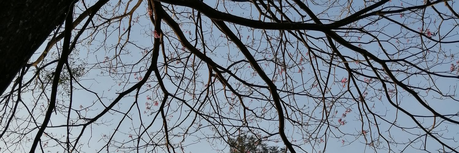 an_adie_'s profile banner image