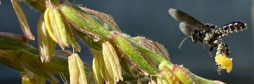 Alfonso Rocha Robles banner