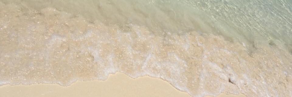 NeekFlanders's profile banner image