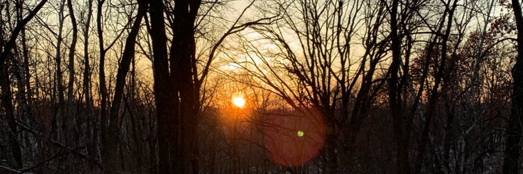 JordynBernstein's profile banner image