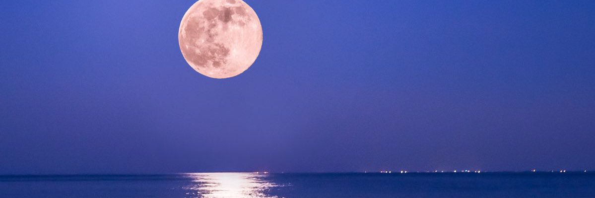 ちゃき banner