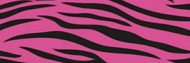 riissarene's profile banner image