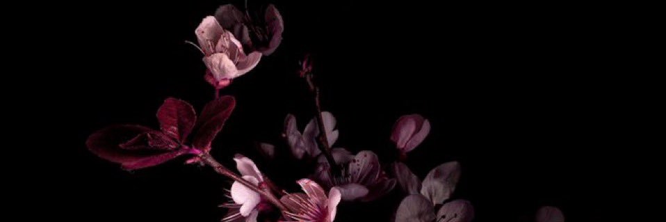 Sn_431's profile banner image