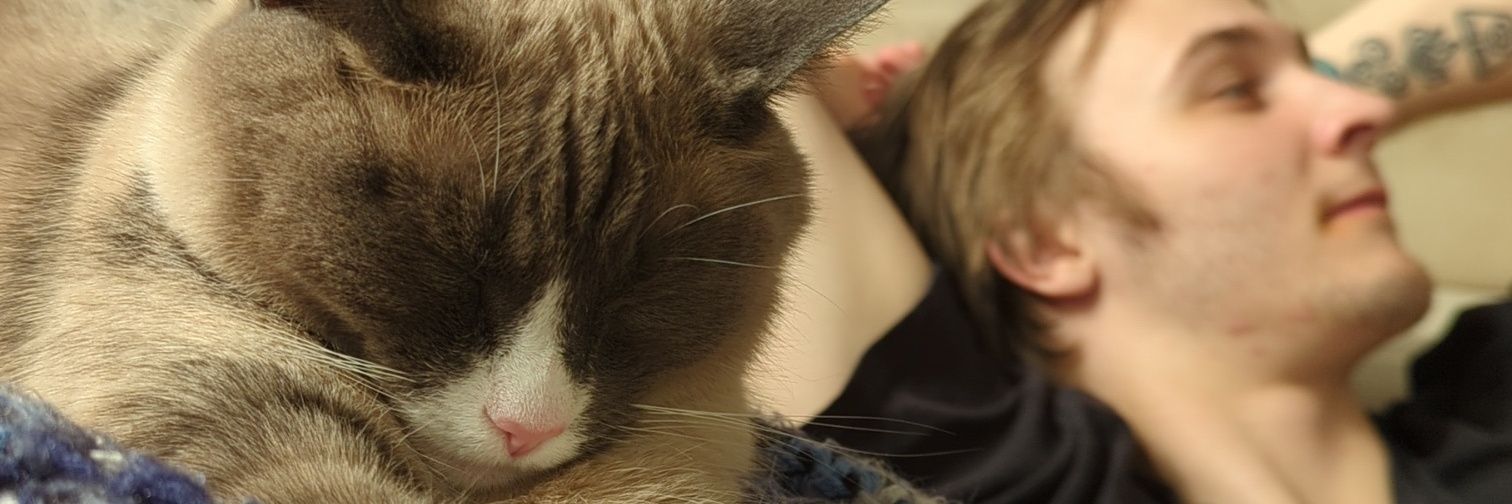 Rachel_Ely24's profile banner image