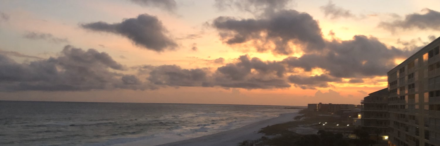 ChloeWillnecker's profile banner image