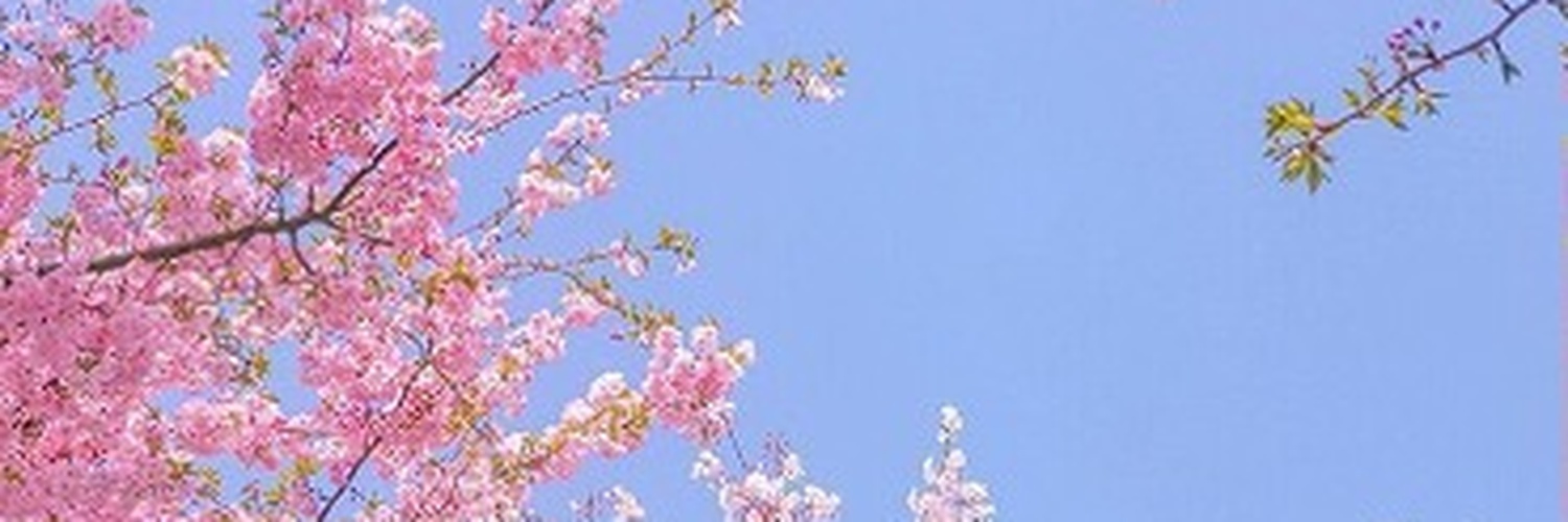 anna23571959's profile banner image