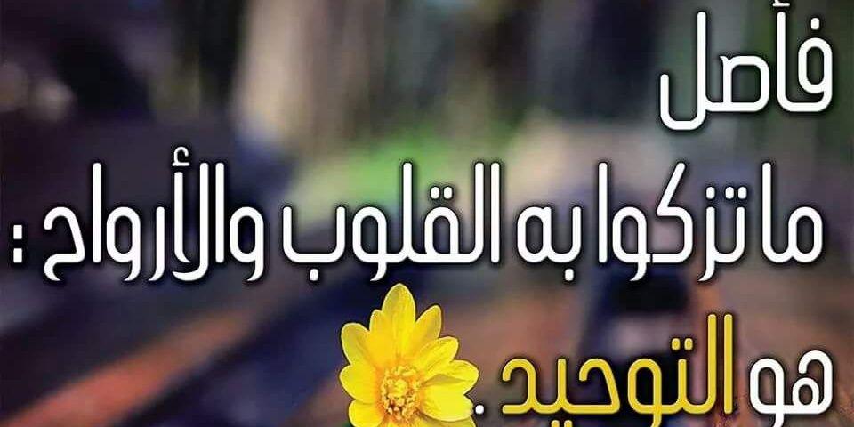 khmlil's profile banner image