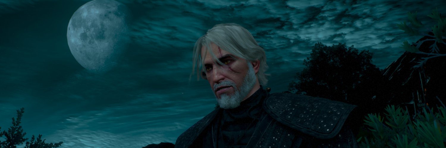 RivyaliWitcher's profile banner image