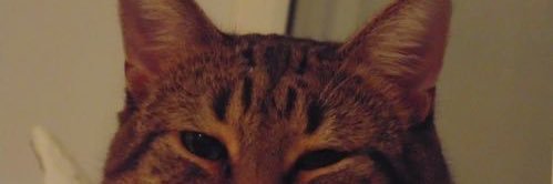 Onis Mods Muckdala banner