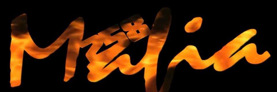 Jimmy Majette banner