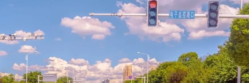 Lily banner