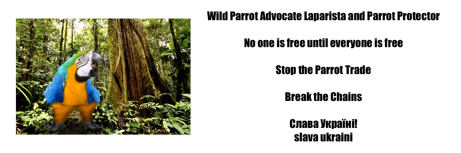 🥥🌴🦜 Dr. Pat Latas 🦜 VAWPPA banner