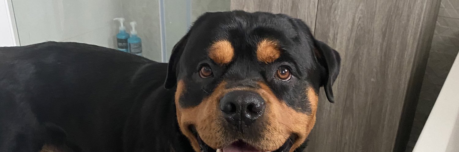 BroooklynBailey's profile banner image