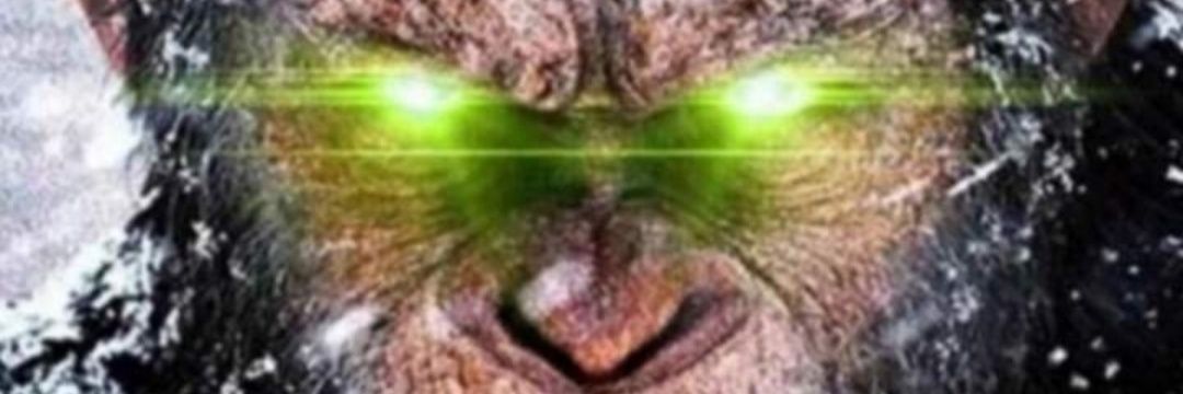 TheBeardedOne46's profile banner image