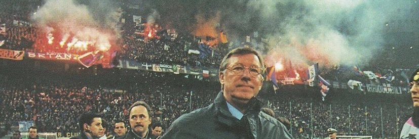 Matteo banner