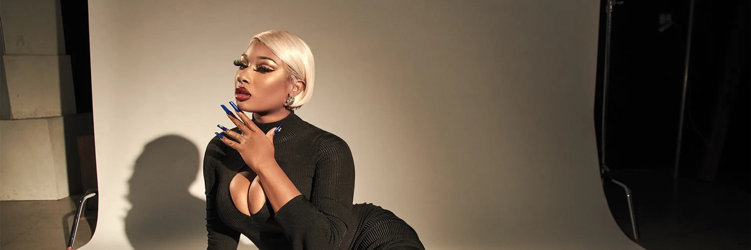 Megan’s Protector banner