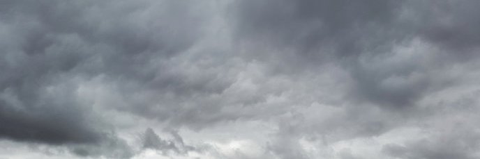 Tabi Documents FNF (Not Roleplay Acc) Justice4Tabi banner