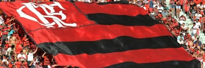 pedrobragamonte's profile banner image