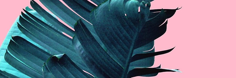 mimrach's profile banner image