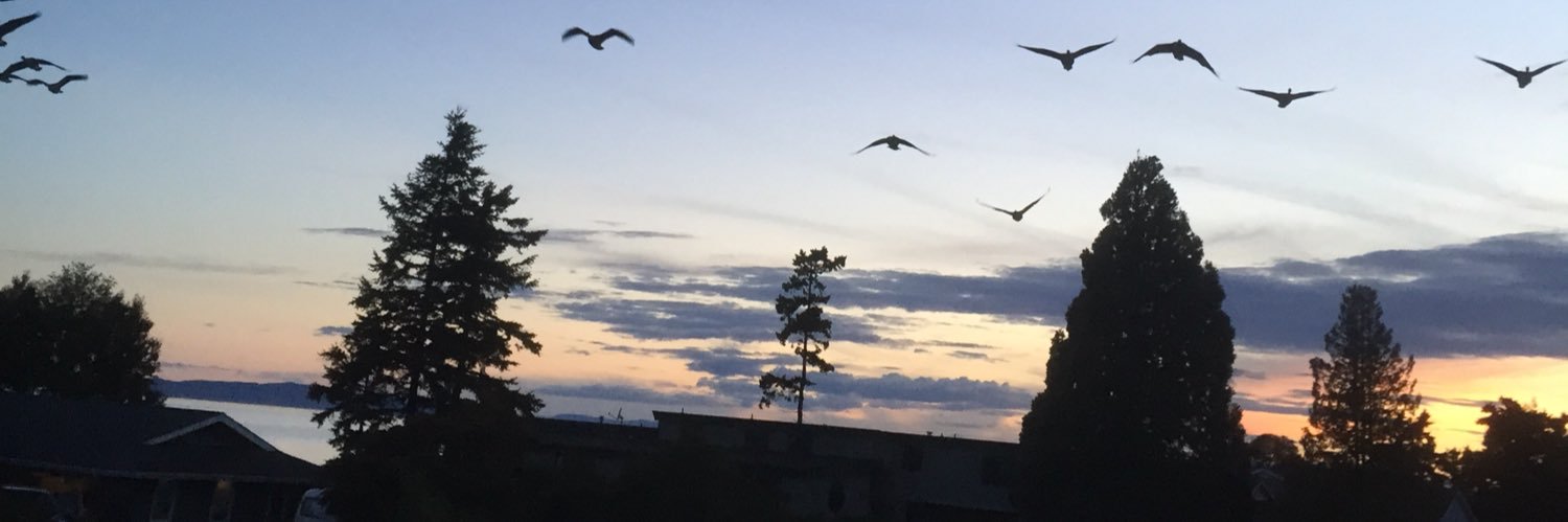 Patrickscottt's profile banner image