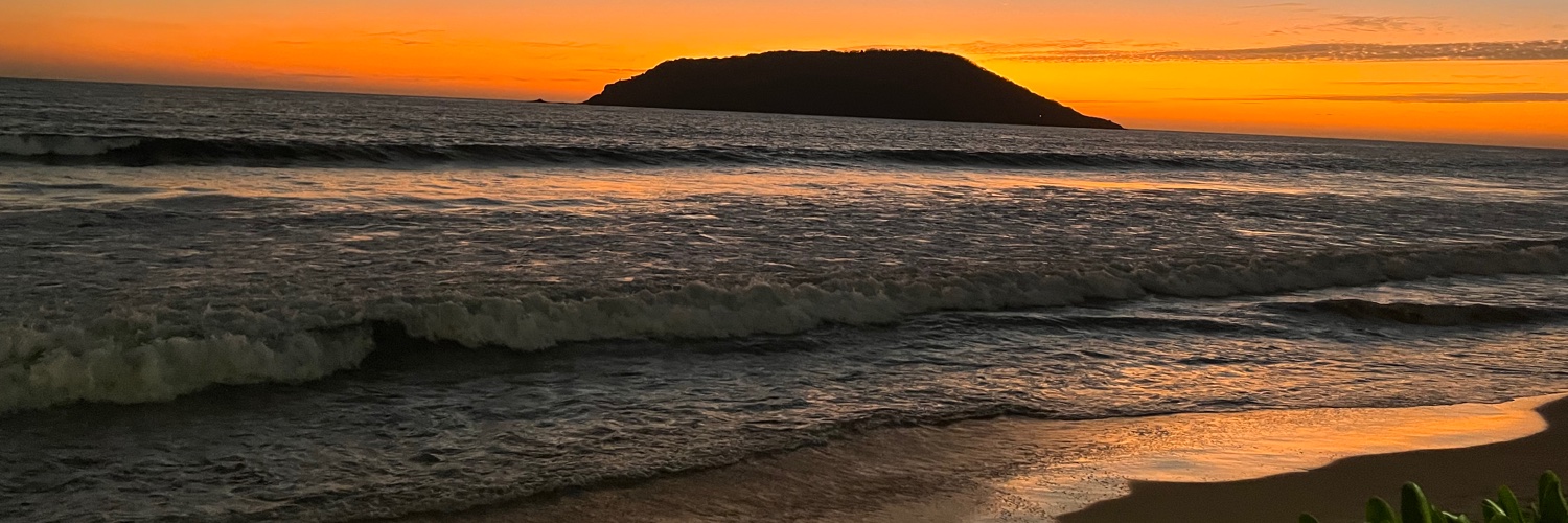 simplyyrhea's profile banner image
